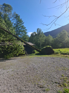 Umgestürzter Baum auf Gebäude nach Unwetter im Grünen bei Maishofen