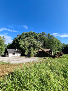 Umgestürzter Baum liegt auf Gebäude neben Wiese und Haus in Maishofen