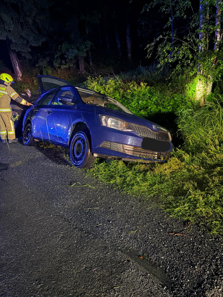 Blauer Pkw am Waldrand, ein Feuerwehrmann steht neben der geöffneten Fahrertür bei Nacht